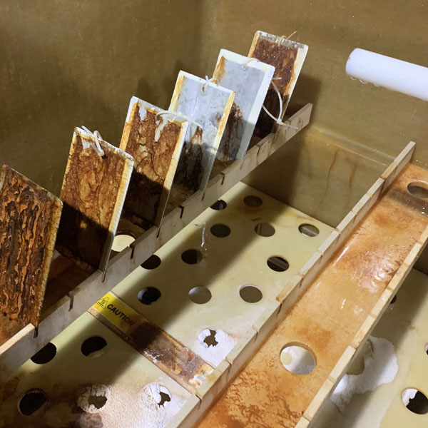 Cyclic Corrosion Test singapore